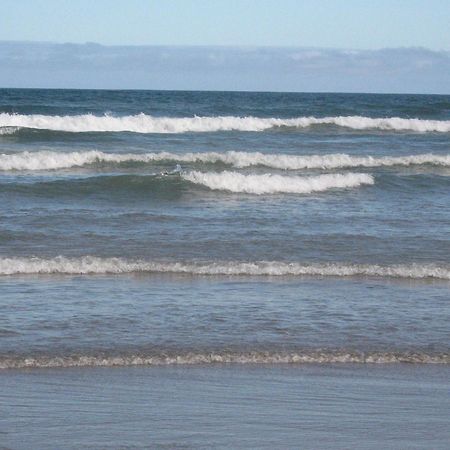 Lindo Apto 300M Praia Da Ocian E Centro - Vista Mar- Varanda Sacada - Wi-Fi 300 Mbps - Vaga De Garagem - Acomoda Ate 6 Pessoas Apartment Praia Grande  Bagian luar foto